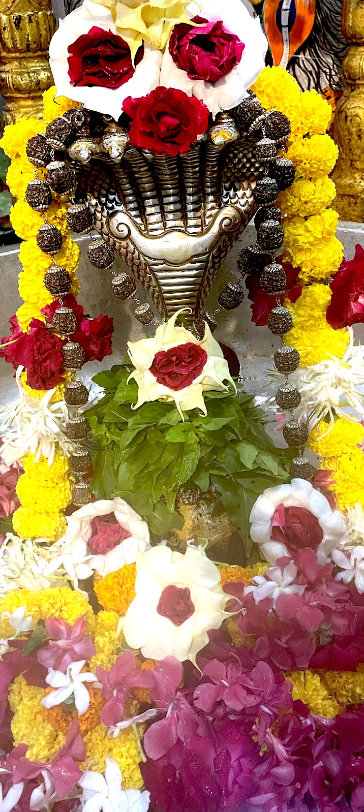 Rudrabhishek to Shree Kubereshwar Mahadev
