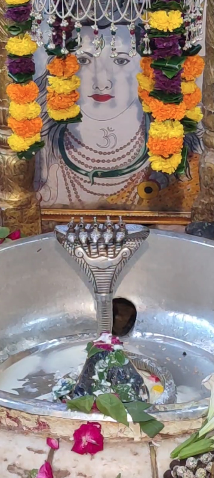 Rudrabhishek to Shree Kubereshwar Mahadev