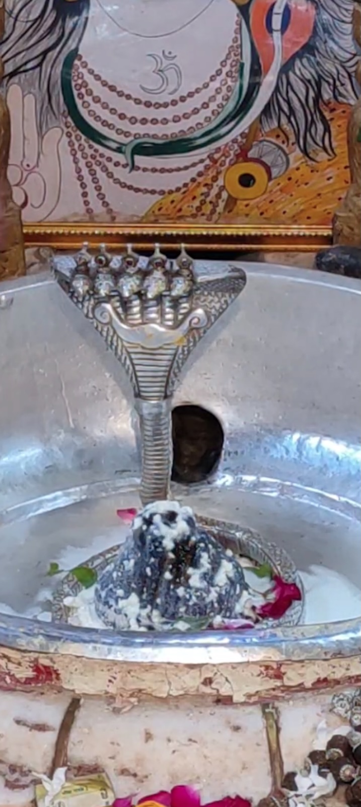 Rudrabhishek to Shree Kubereshwar Mahadev
