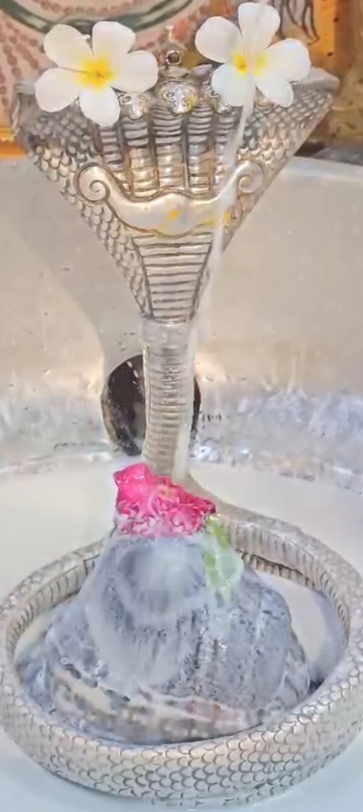 Rudrabhishek to Shree Kubereshwar Mahadev