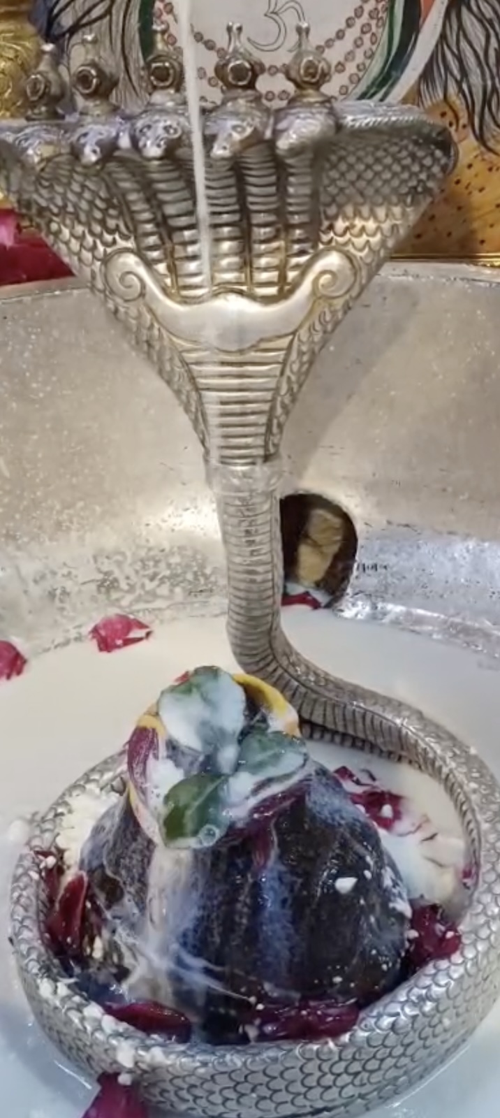 Rudrabhishek to Shree Kubereshwar Mahadev