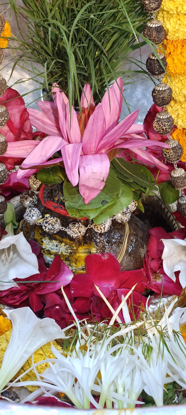 Rudrabhishek to Shree Kubereshwar Mahadev