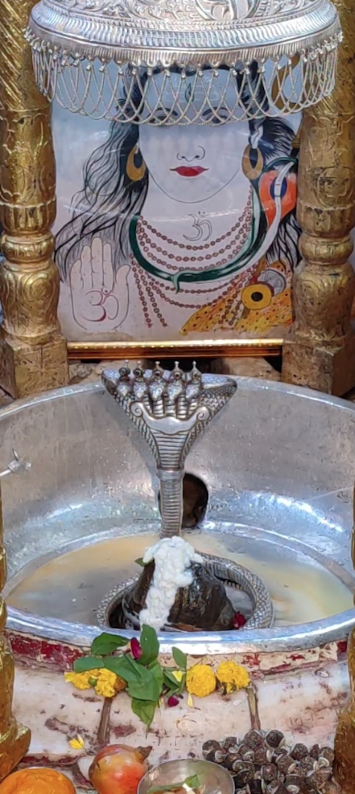 Rudrabhishek to Shree Kubereshwar Mahadev