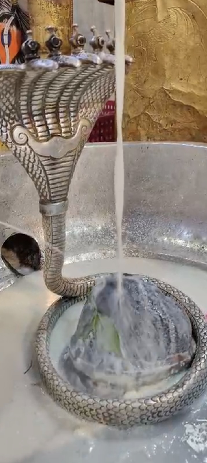 Rudrabhishek to Shree Kubereshwar Mahadev