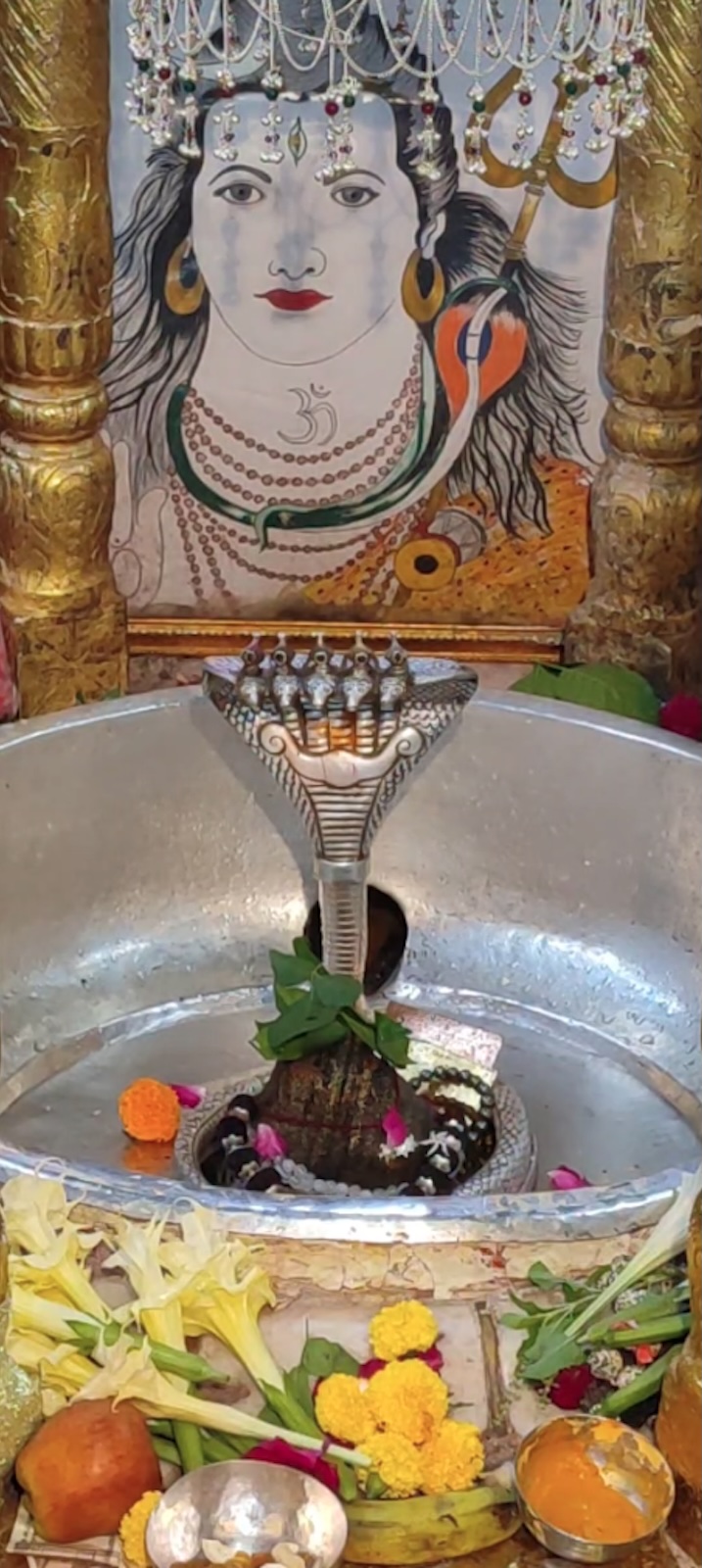 Rudrabhishek to Shree Kubereshwar Mahadev