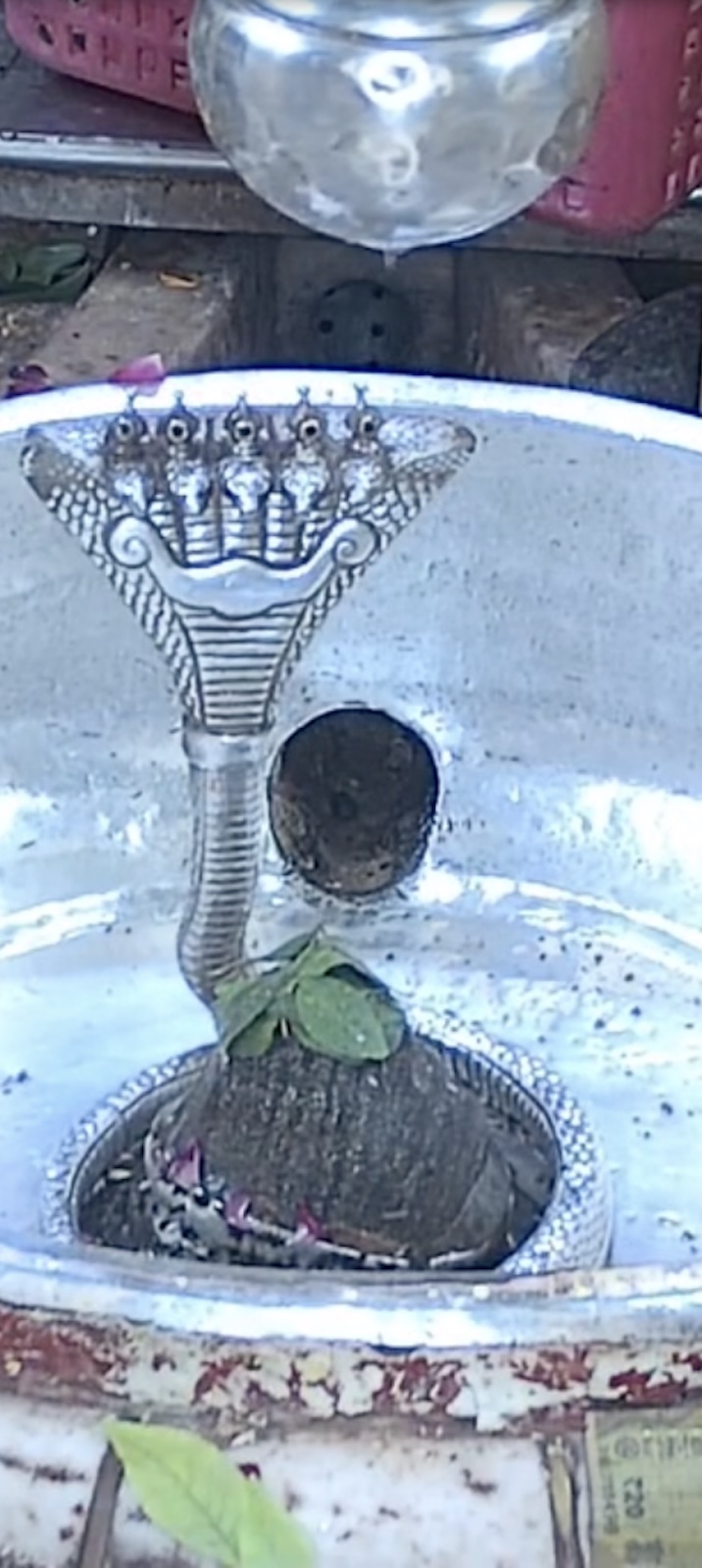 Rudrabhishek to Shree Kubereshwar Mahadev