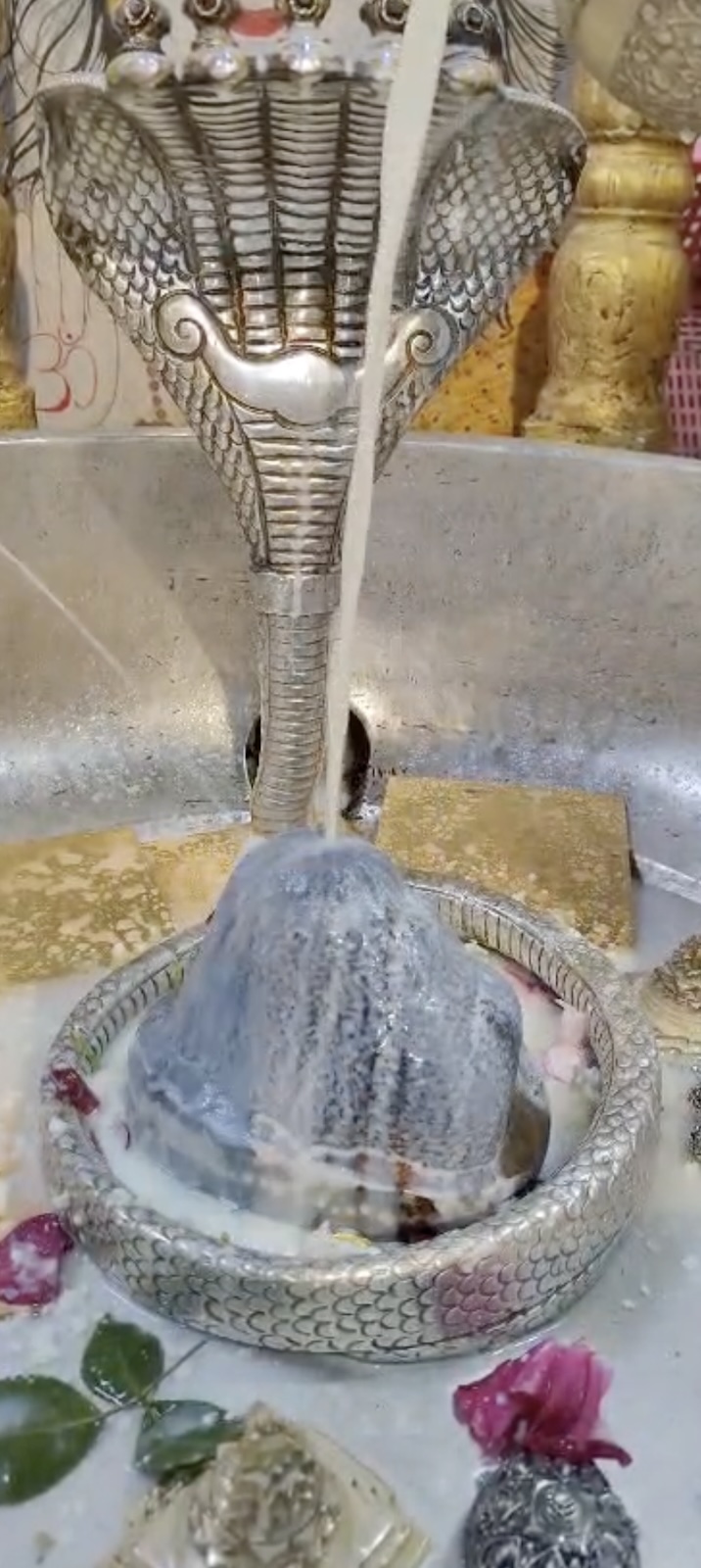 Rudrabhishek to Shree Kubereshwar Mahadev