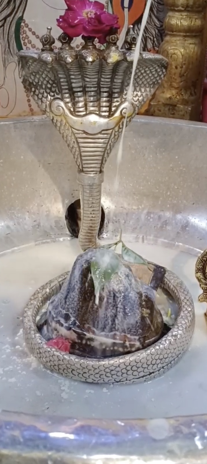 Rudrabhishek to Shree Kubereshwar Mahadev