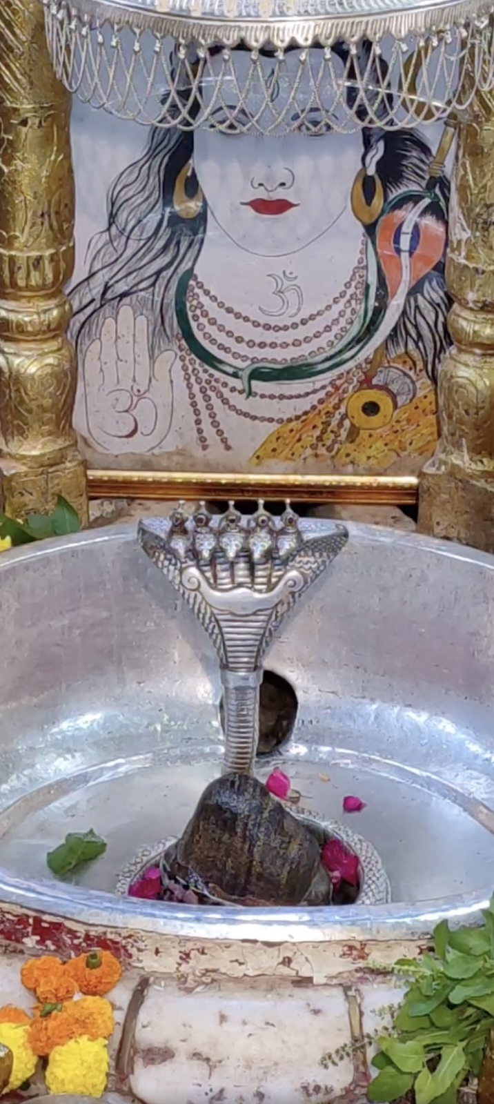 Rudrabhishek to Shree Kubereshwar Mahadev