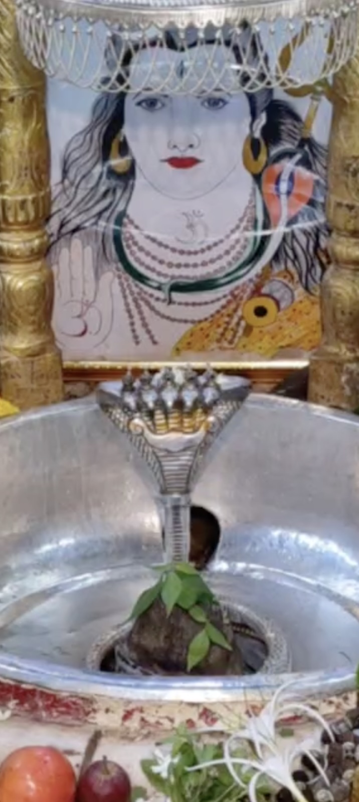 Rudrabhishek to Shree Kubereshwar Mahadev
