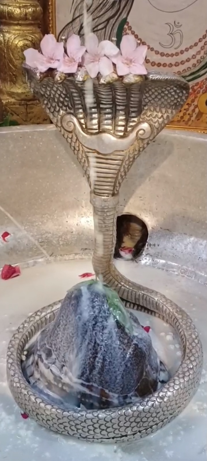 Rudrabhishek to Shree Kubereshwar Mahadev