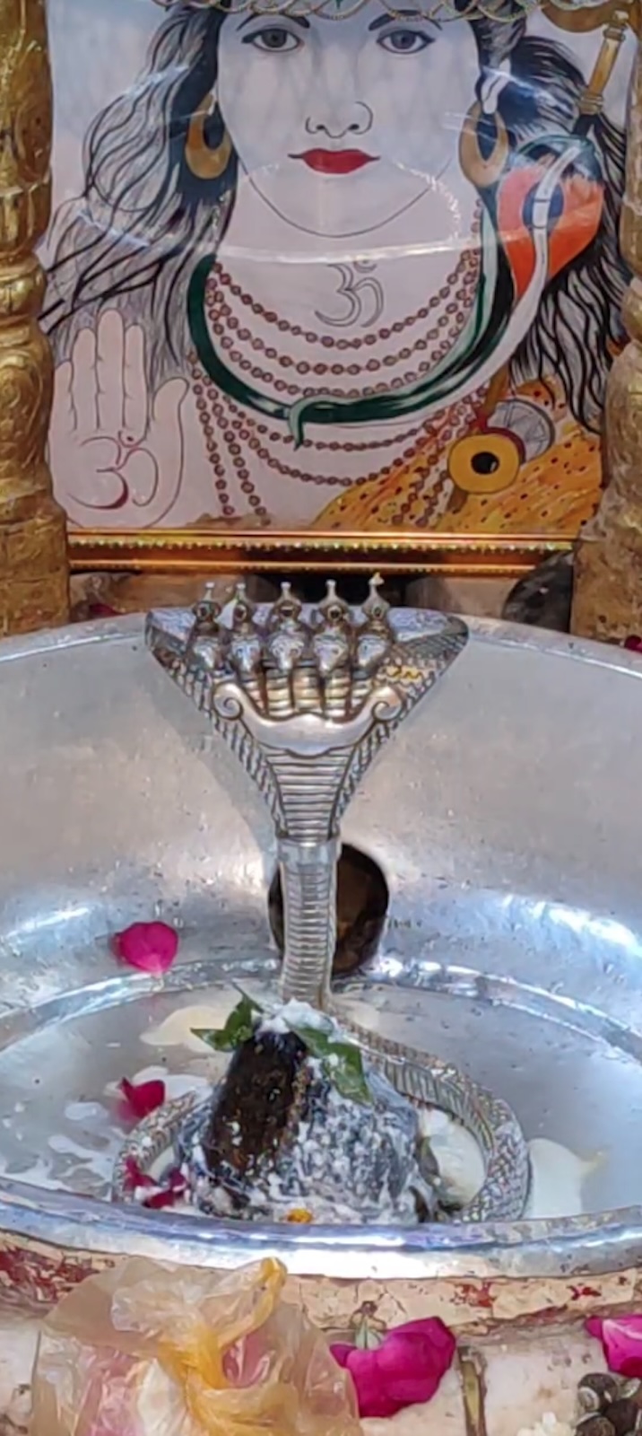 Rudrabhishek to Shree Kubereshwar Mahadev