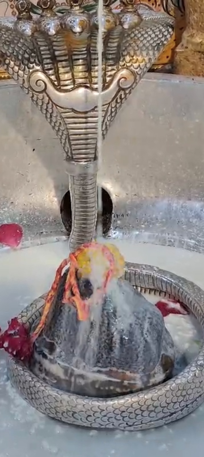 Rudrabhishek to Shree Kubereshwar Mahadev