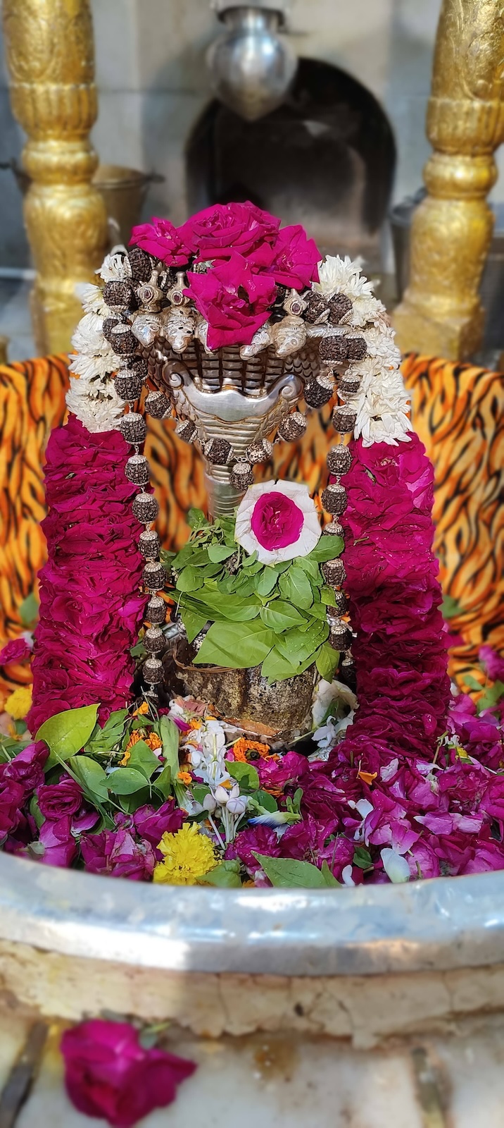 Maha Shivratri 01 March 2022