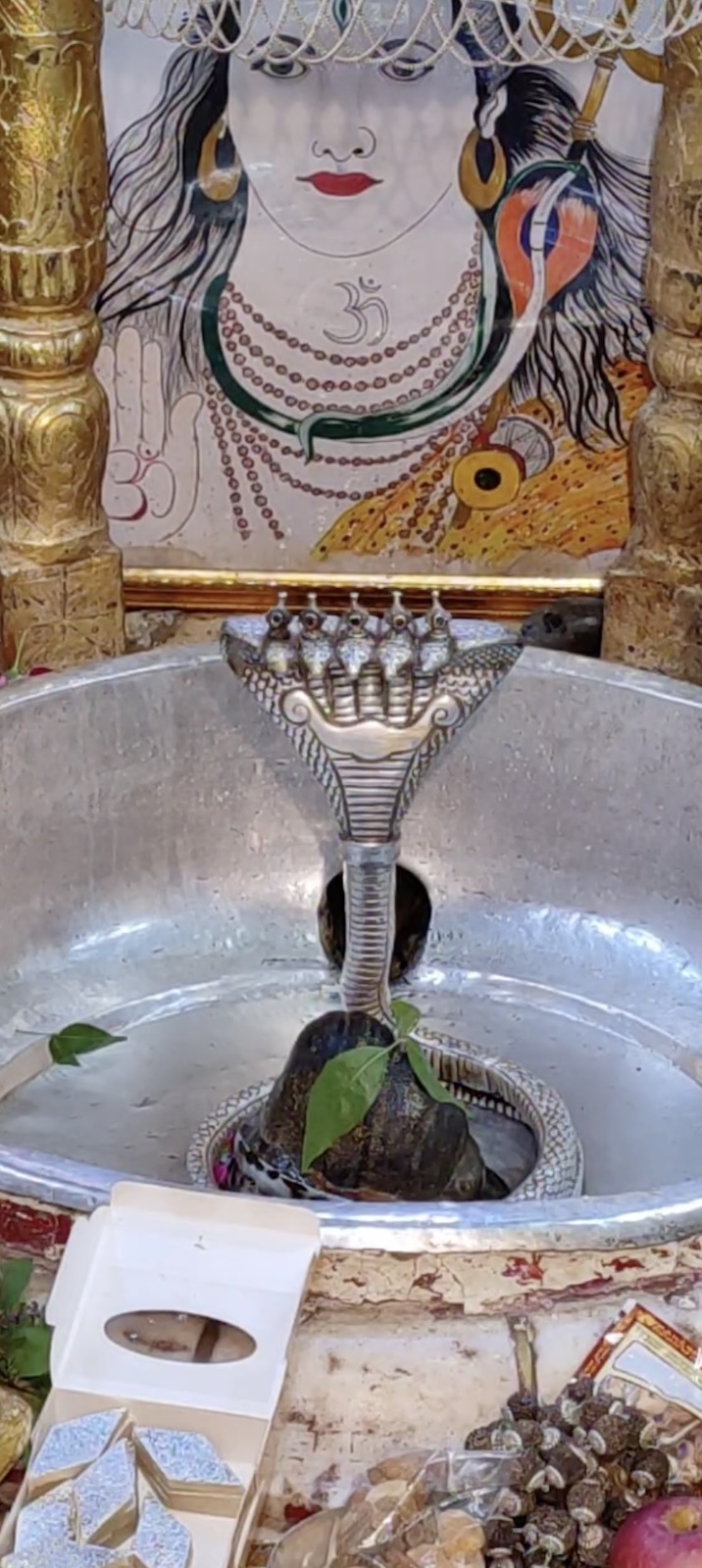Rudrabhishek to Shree Kubereshwar Mahadev