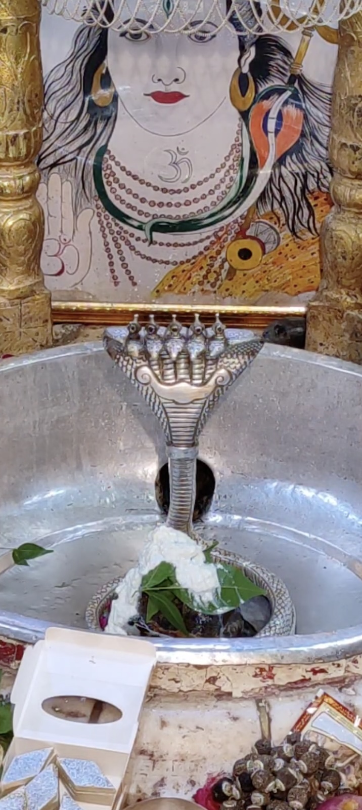 Rudrabhishek to Shree Kubereshwar Mahadev