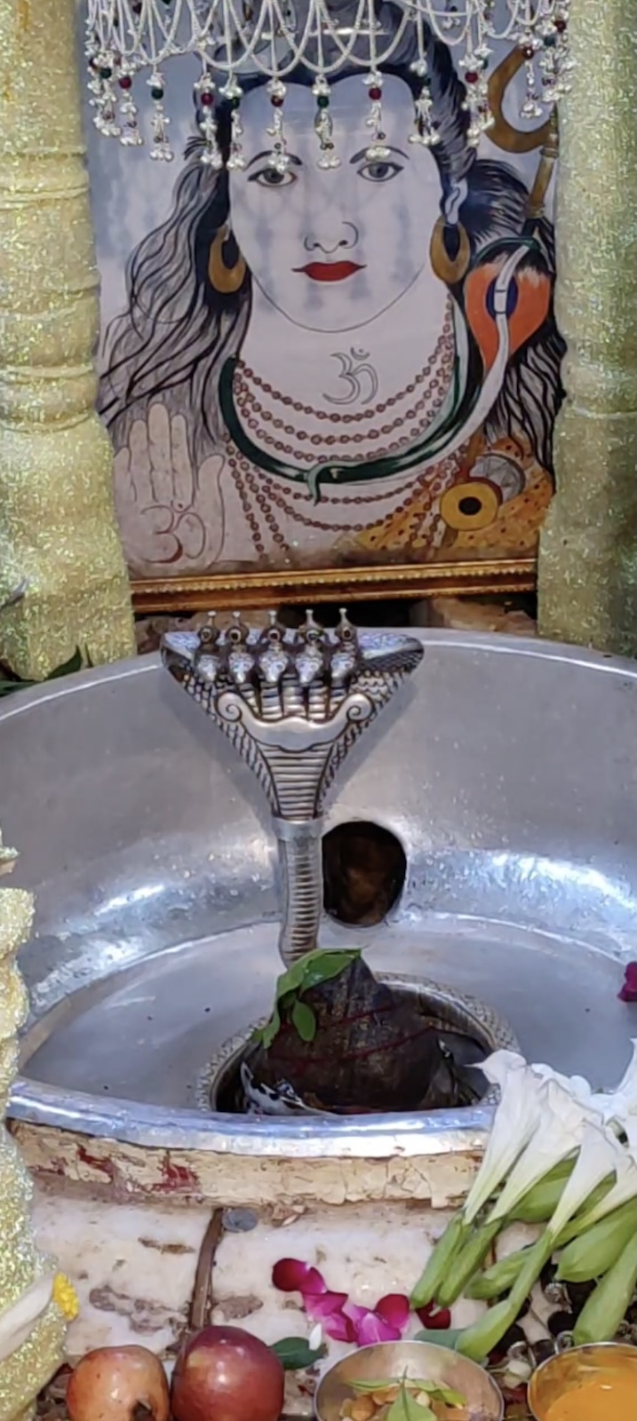 Rudrabhishek to Shree Kubereshwar Mahadev