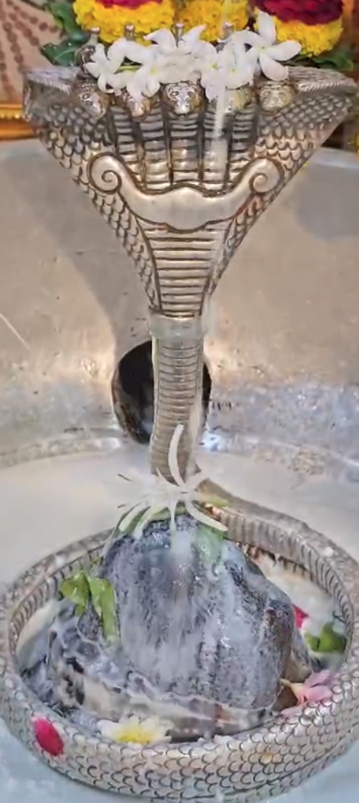 Rudrabhishek to Shree Kubereshwar Mahadev