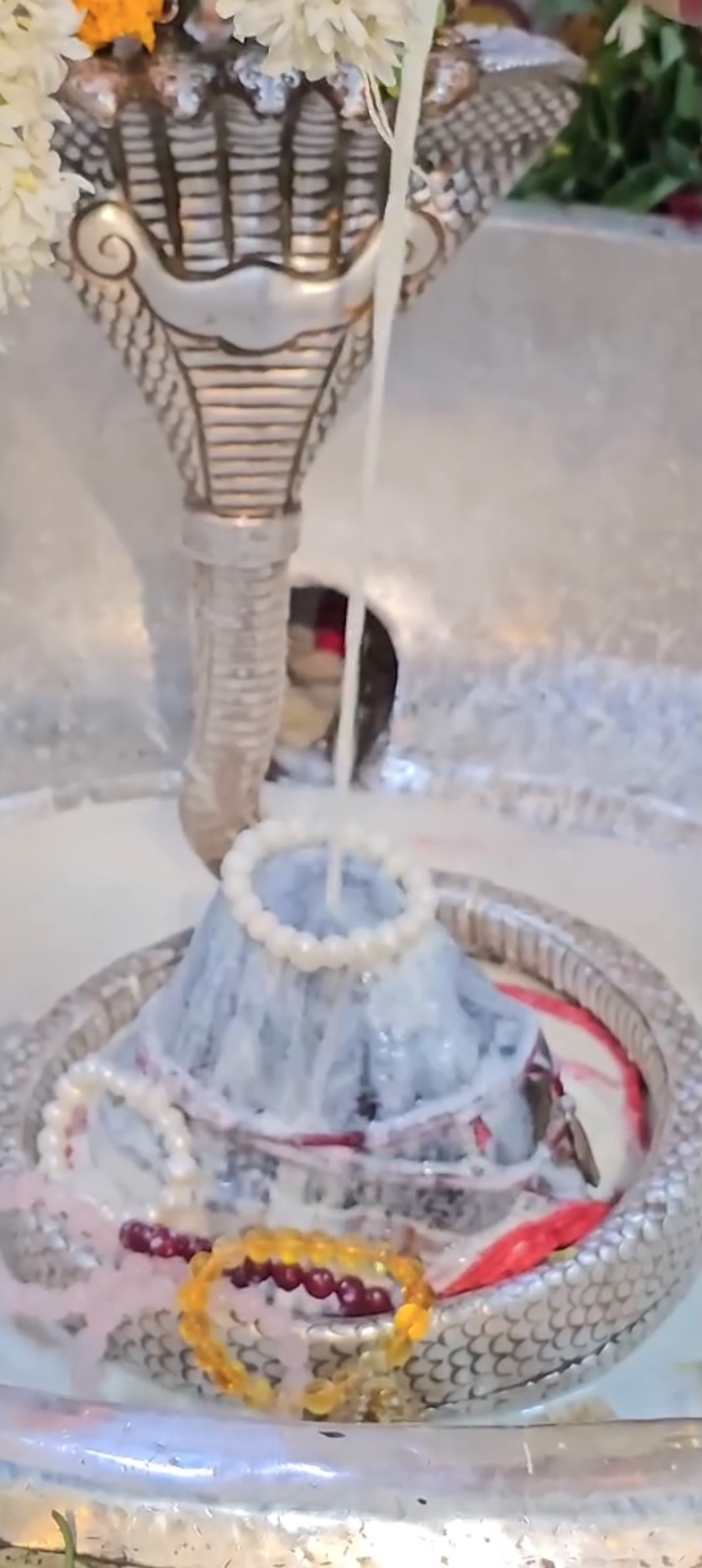 Rudrabhishek to Shree Kubereshwar Mahadev