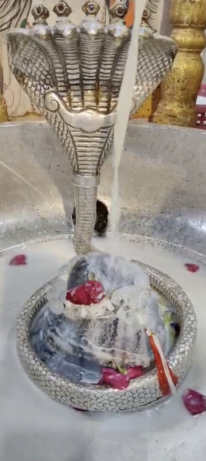 Rudrabhishek to Shree Kubereshwar Mahadev