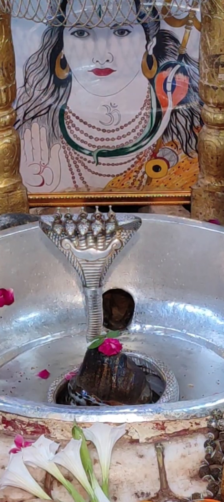 Rudrabhishek to Shree Kubereshwar Mahadev