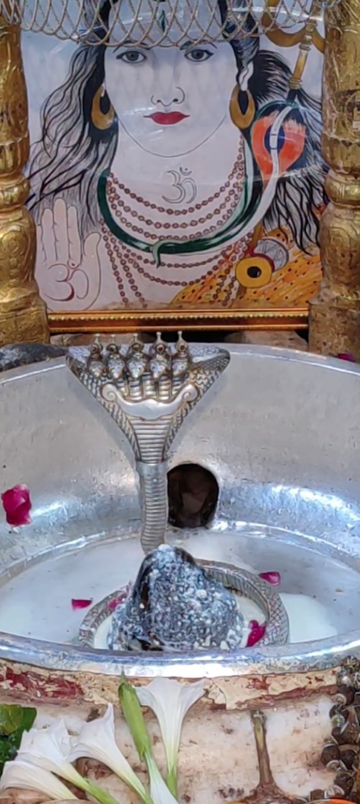 Rudrabhishek to Shree Kubereshwar Mahadev