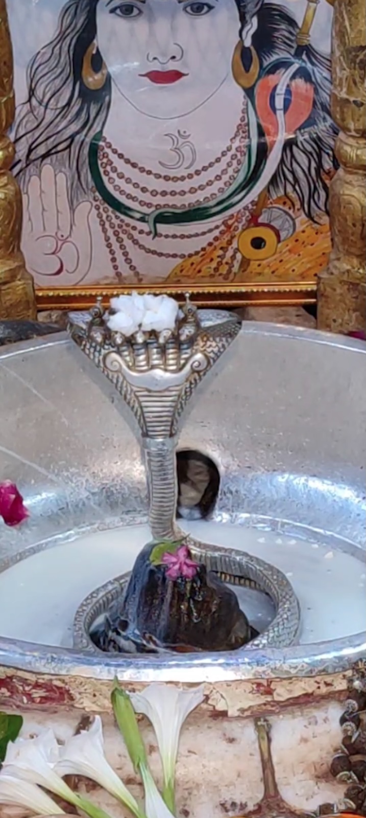 Rudrabhishek to Shree Kubereshwar Mahadev
