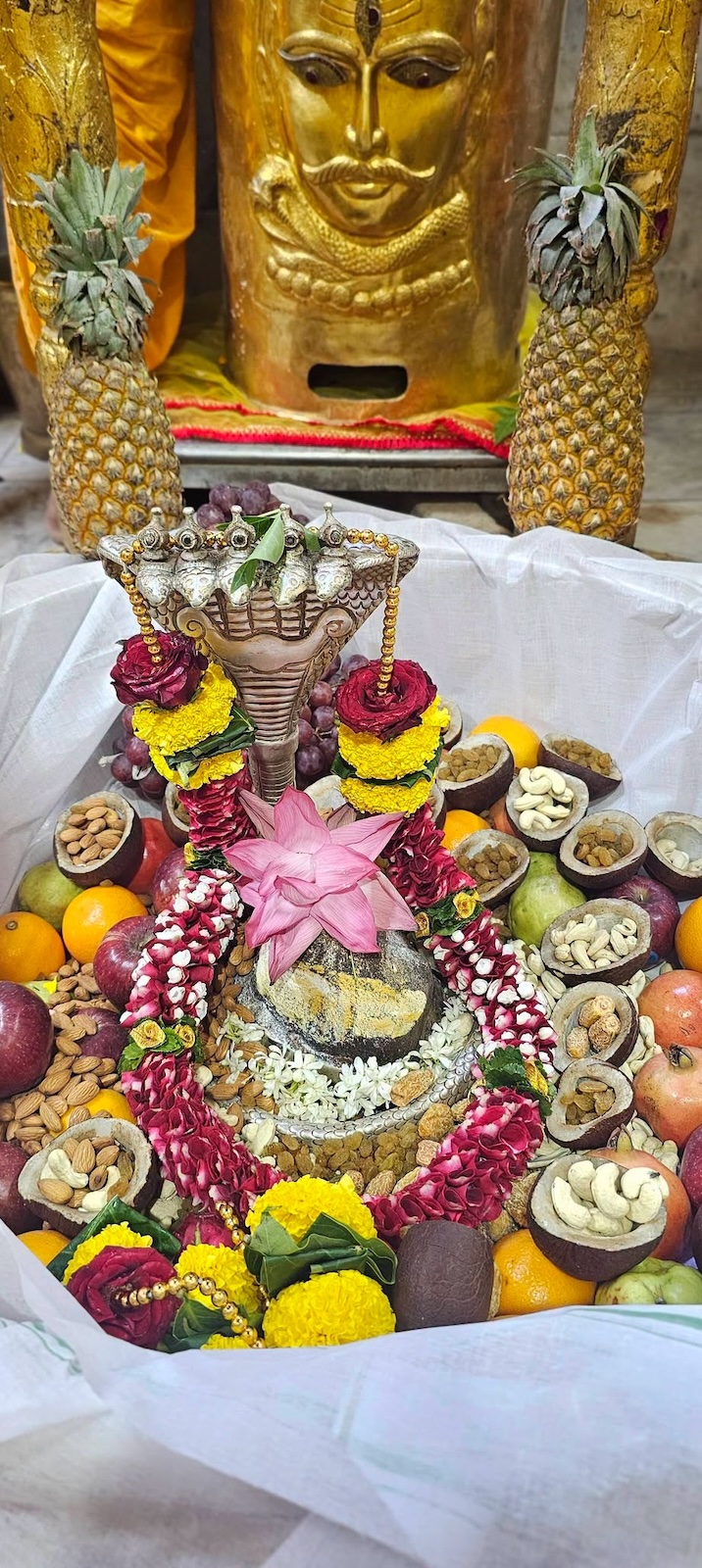 Rudrabhishek to Shree Kubereshwar Mahadev