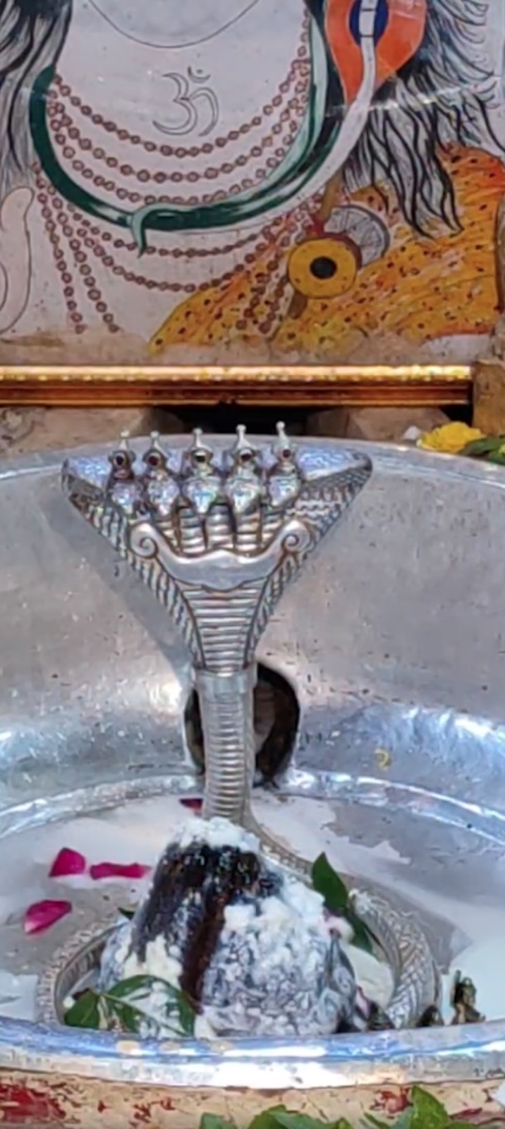 Rudrabhishek to Shree Kubereshwar Mahadev