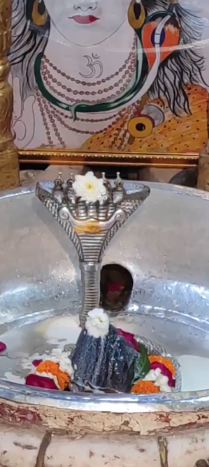 Rudrabhishek to Shree Kubereshwar Mahadev