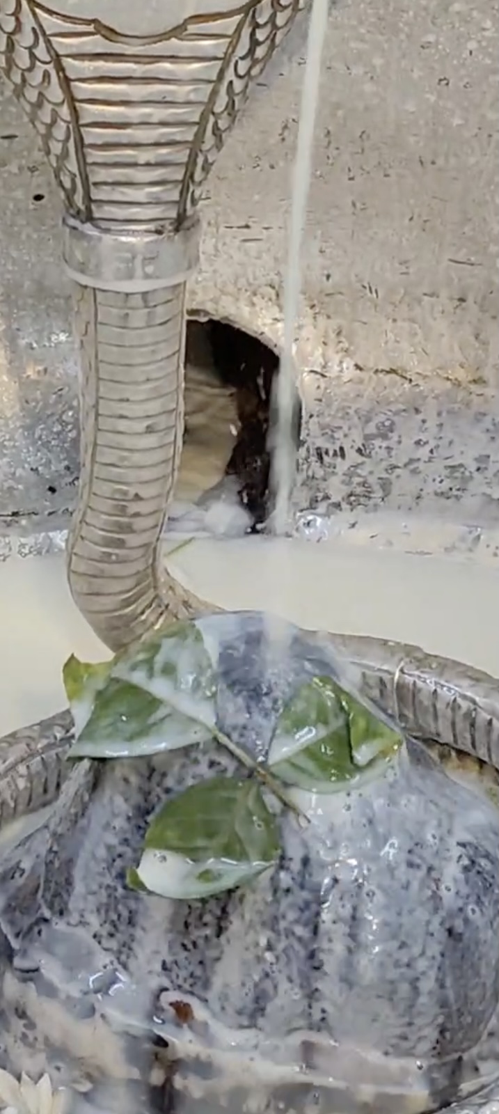 Rudrabhishek to Shree Kubereshwar Mahadev