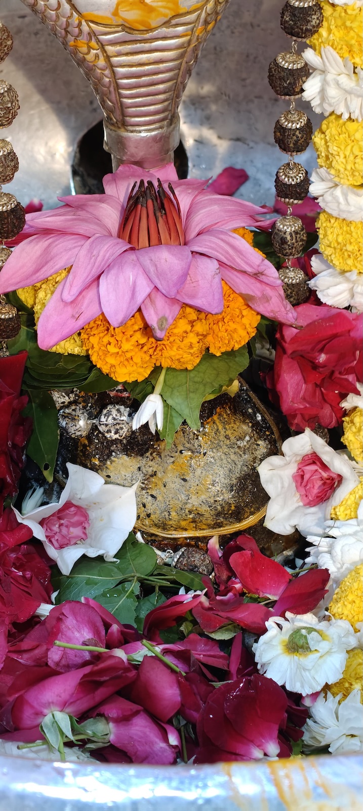 Rudrabhishek to Shree Kubereshwar Mahadev