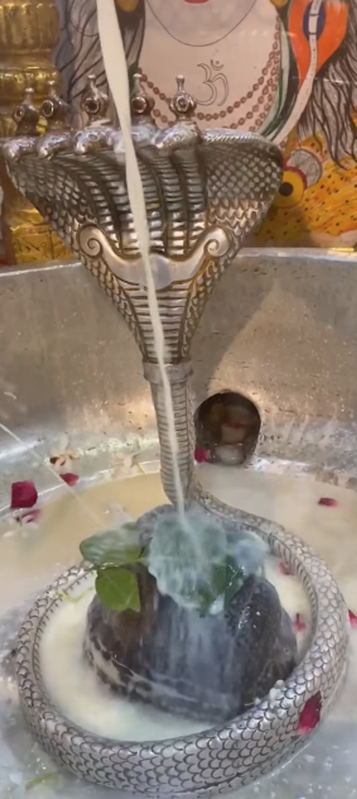Rudrabhishek to Shree Kubereshwar Mahadev