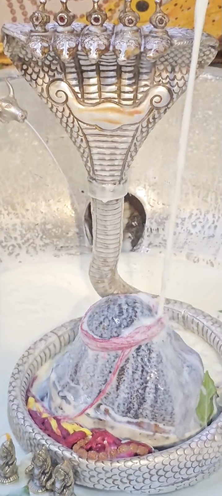 Rudrabhishek to Shree Kubereshwar Mahadev