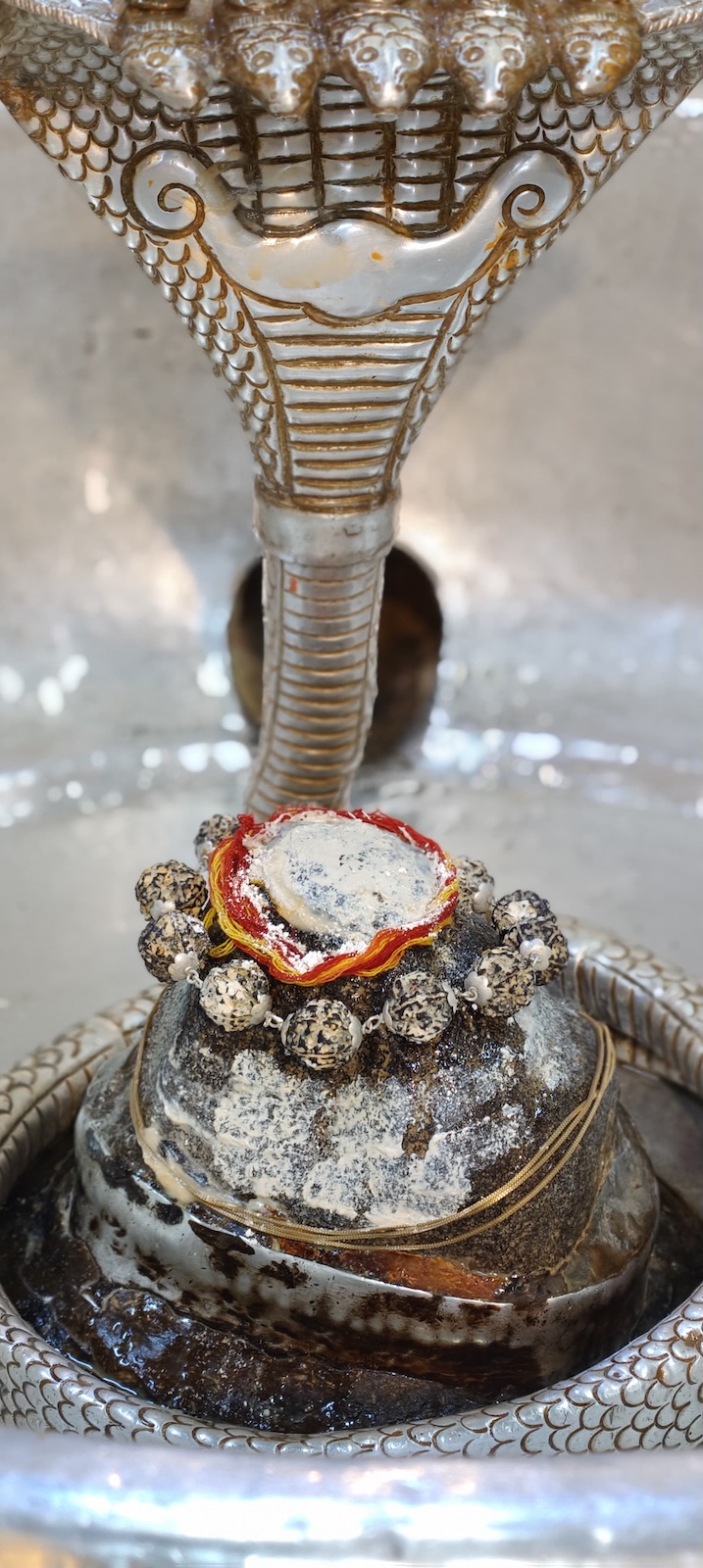 Rudrabhishek to Shree Kubereshwar Mahadev
