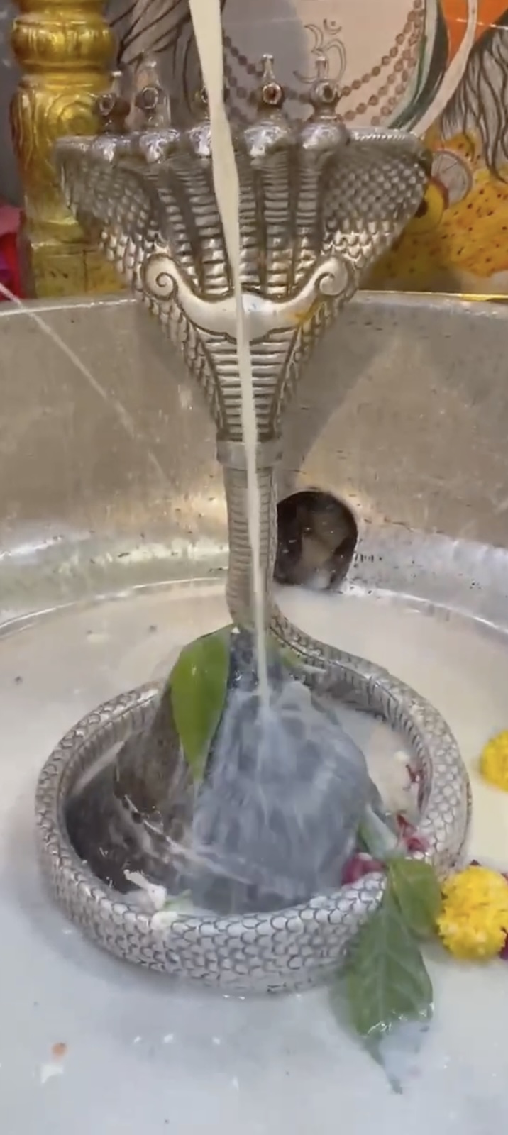 Rudrabhishek to Shree Kubereshwar Mahadev