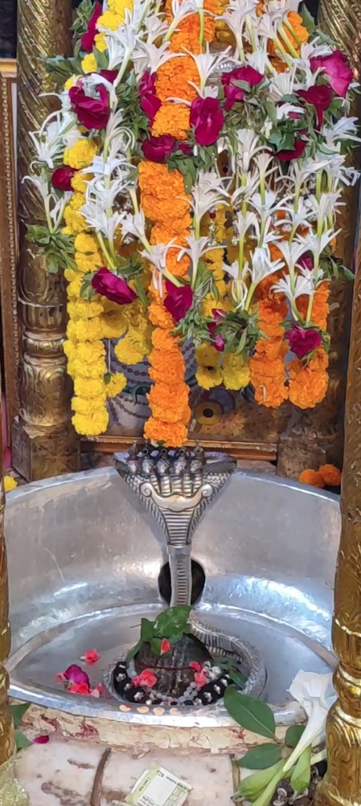 Rudrabhishek to Shree Kubereshwar Mahadev
