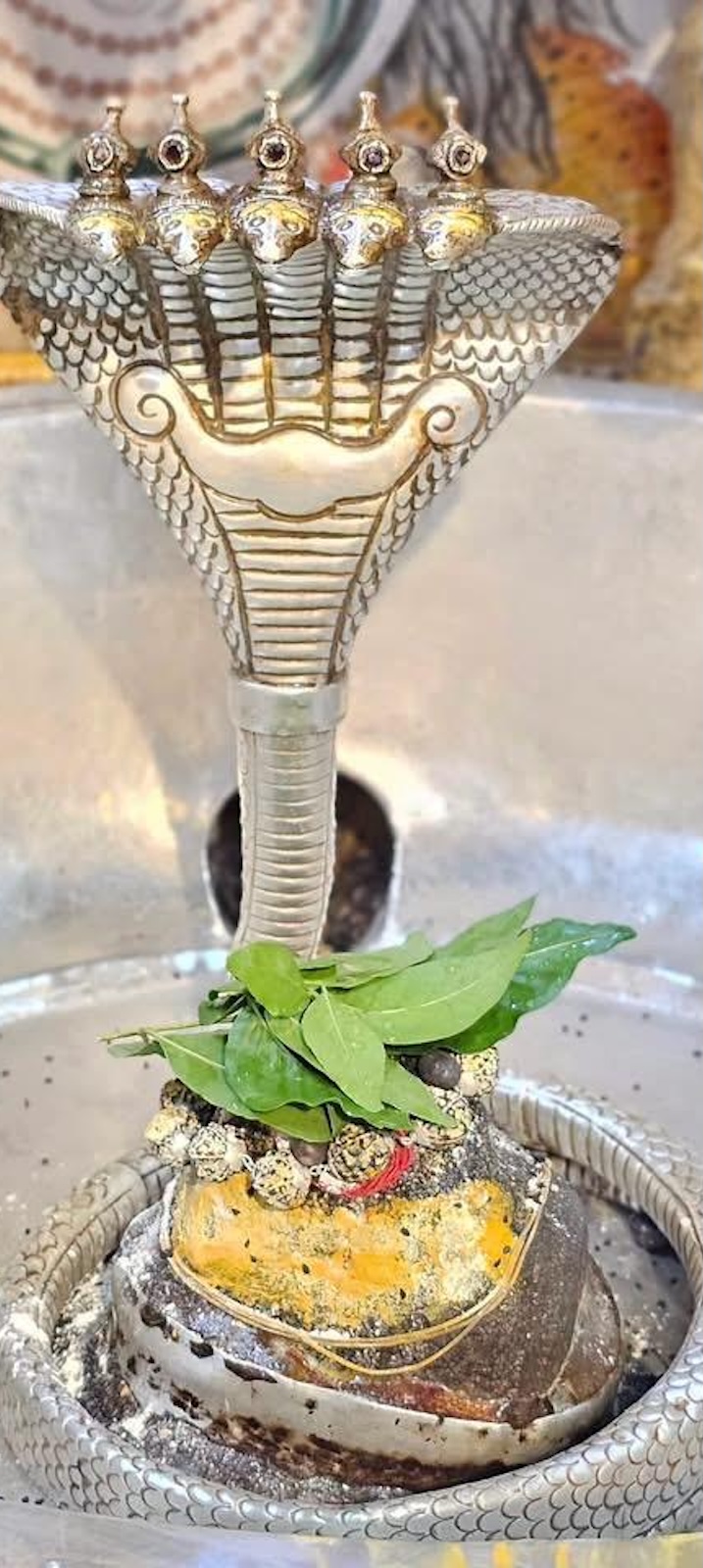 Rudrabhishek to Shree Kubereshwar Mahadev