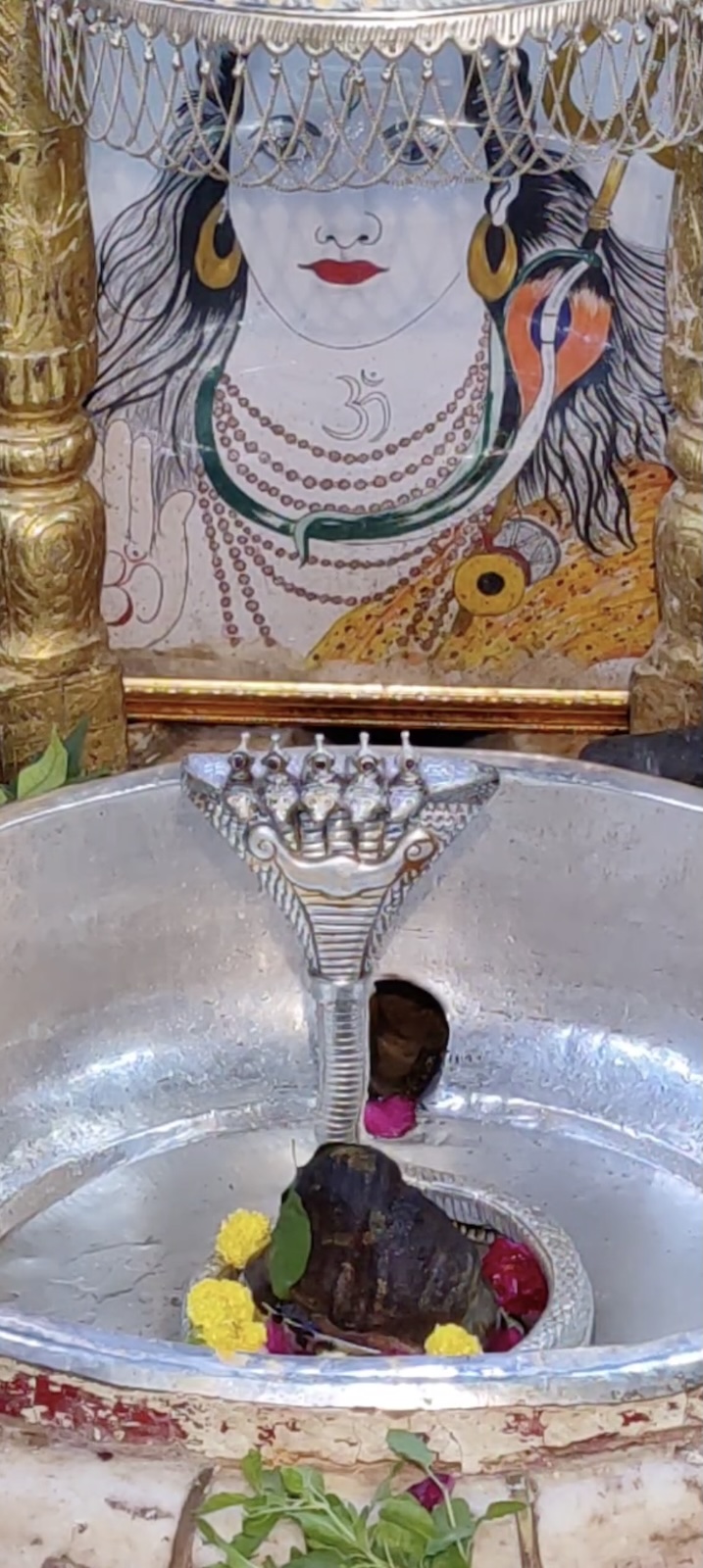 Rudrabhishek to Shree Kubereshwar Mahadev