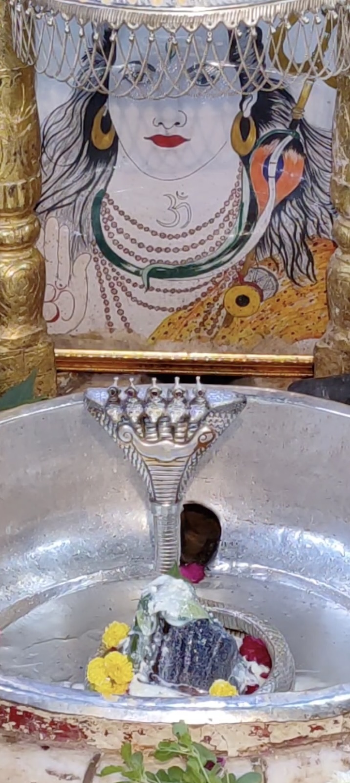 Rudrabhishek to Shree Kubereshwar Mahadev