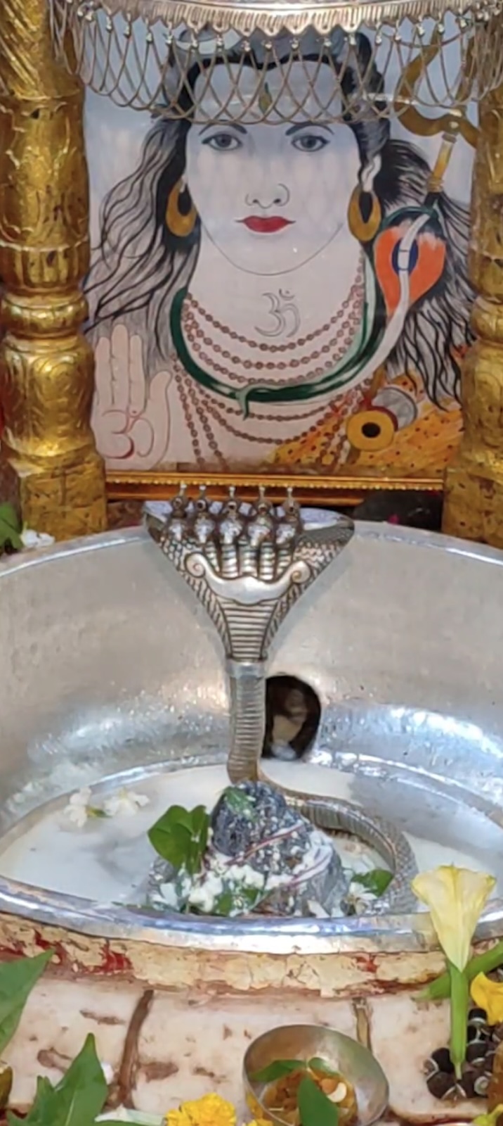 Rudrabhishek to Shree Kubereshwar Mahadev
