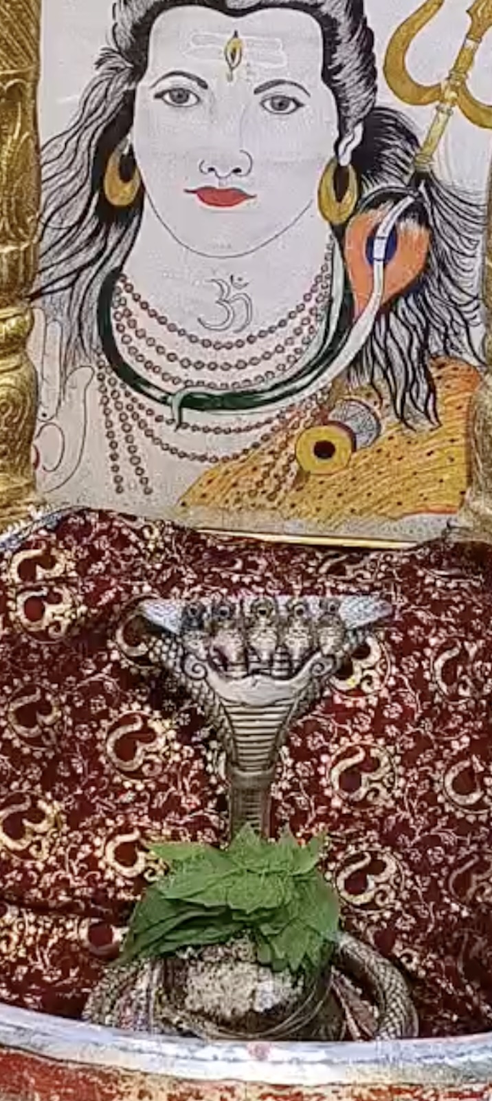 Rudrabhishek to Shree Kubereshwar Mahadev