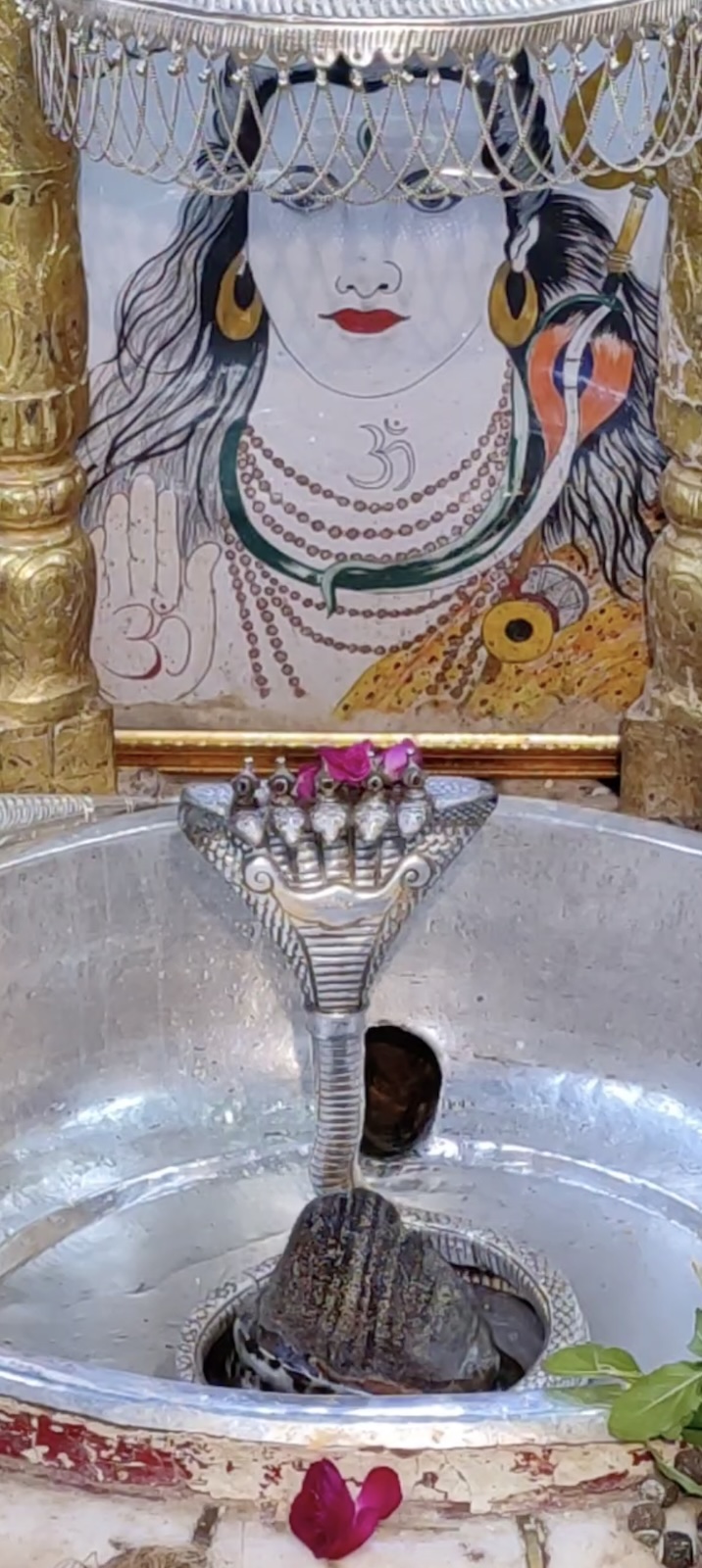 Rudrabhishek to Shree Kubereshwar Mahadev