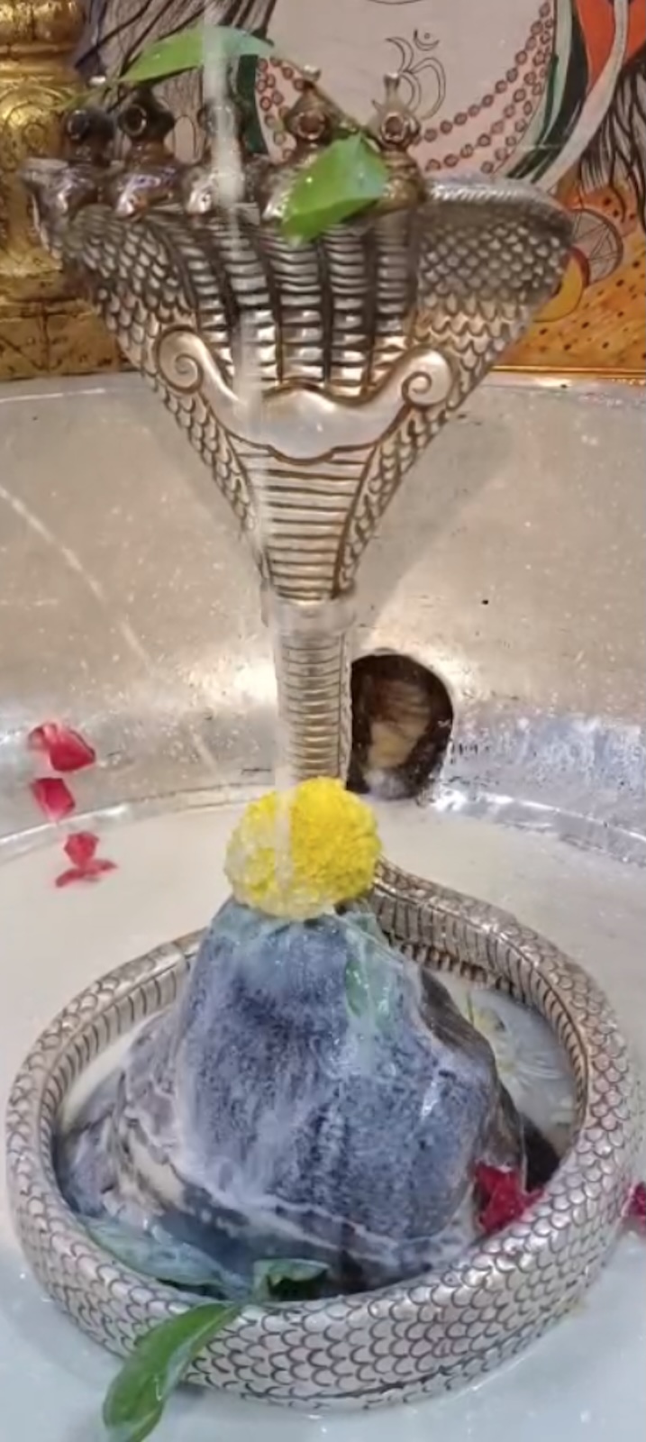 Rudrabhishek to Shree Kubereshwar Mahadev