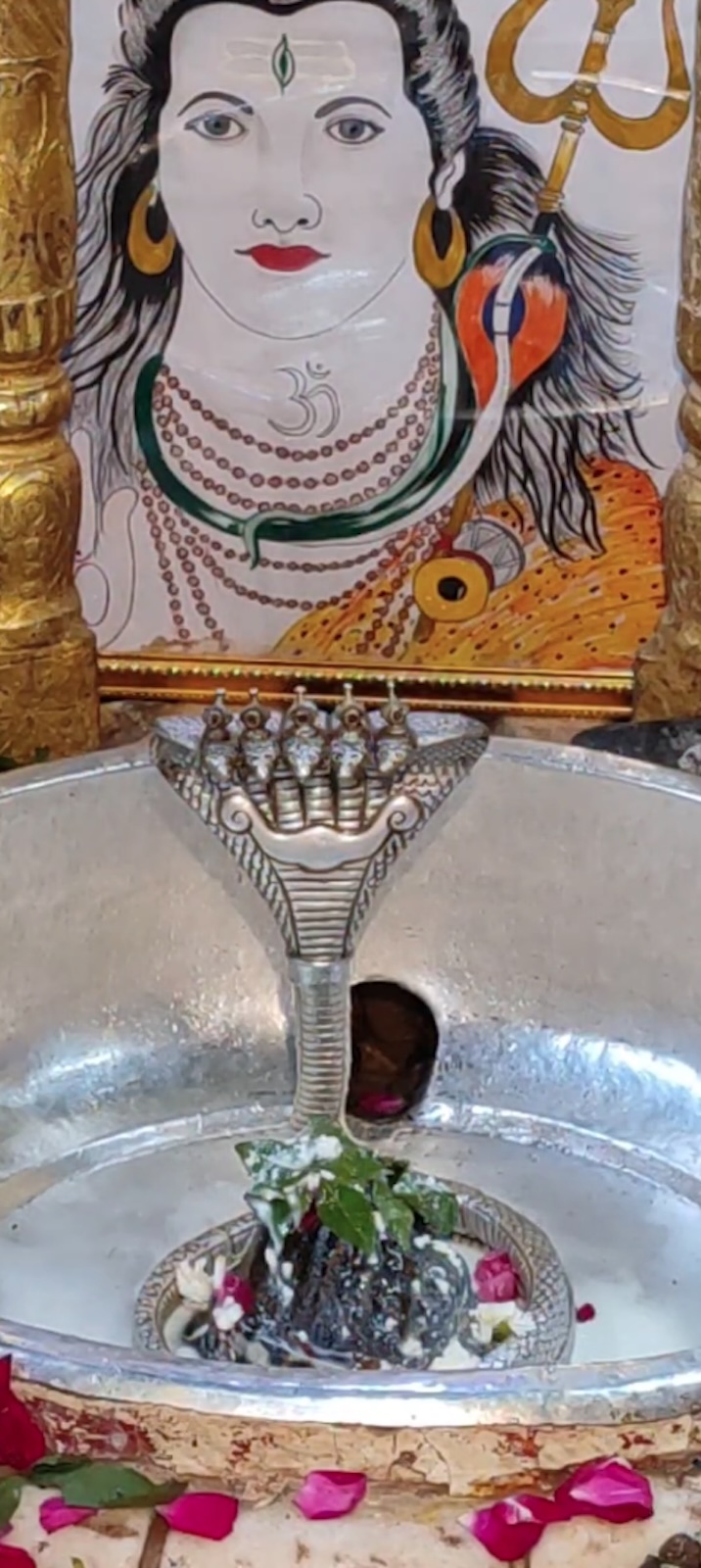 Rudrabhishek to Shree Kubereshwar Mahadev