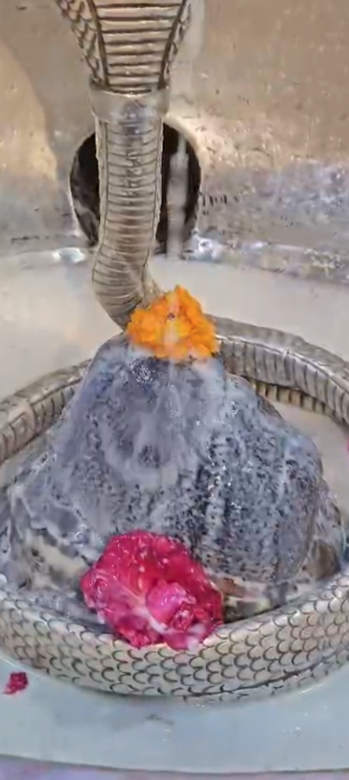 Rudrabhishek to Shree Kubereshwar Mahadev