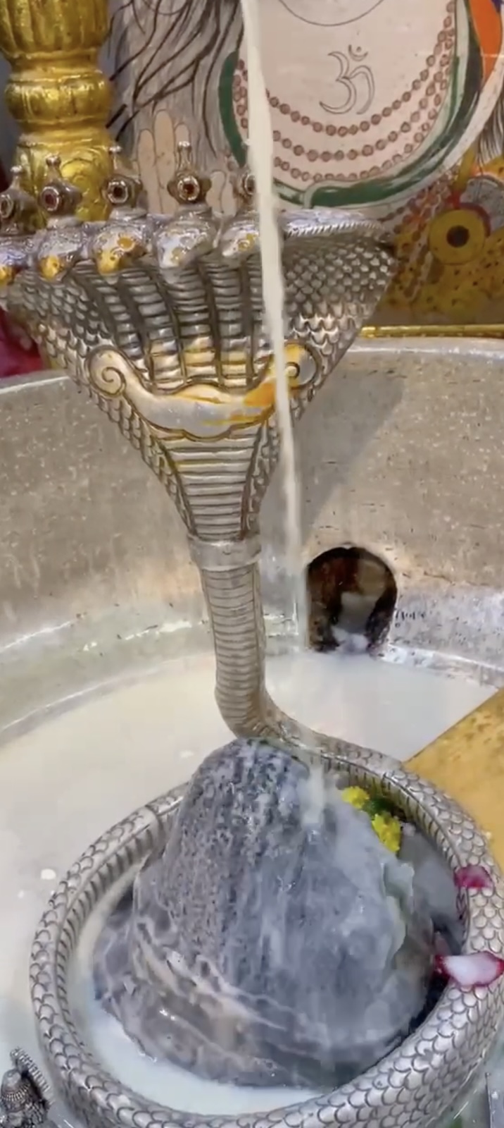 Rudrabhishek to Shree Kubereshwar Mahadev