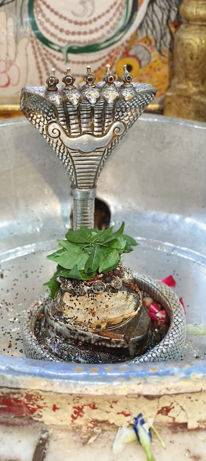 Rudrabhishek to Shree Kubereshwar Mahadev