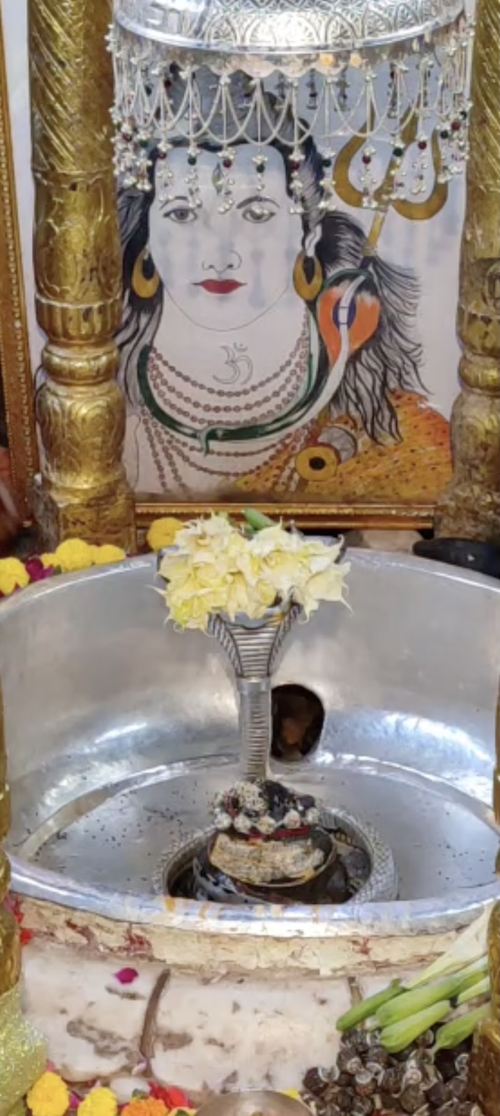 Rudrabhishek to Shree Kubereshwar Mahadev