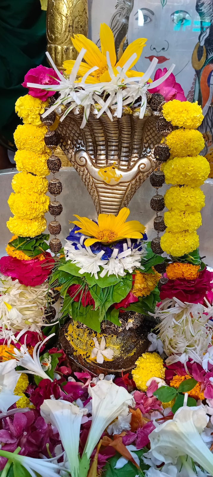 Rudrabhishek to Shree Kubereshwar Mahadev